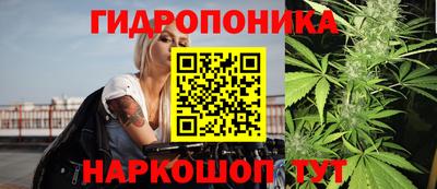 гашик Заводоуковск