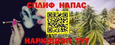 гашик Заводоуковск